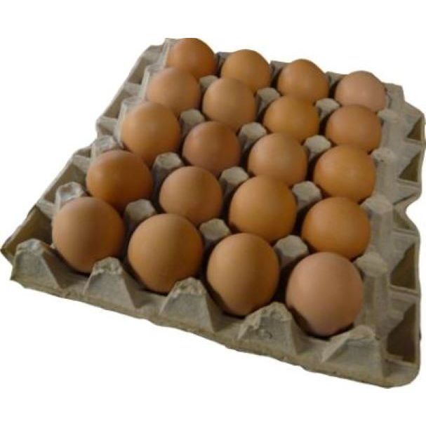 Купить яйцо в белгородской области. Столовое яйцо. Яйца высшей категории. Яйцо куриное столовое высшей категории. Яйцо куриное 1 категории.